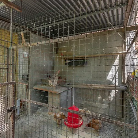 Ca La Rosita Apartament